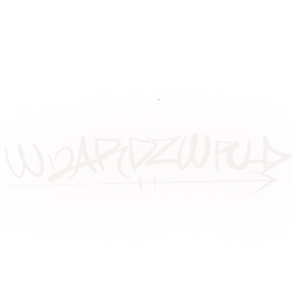wizardzwrld541